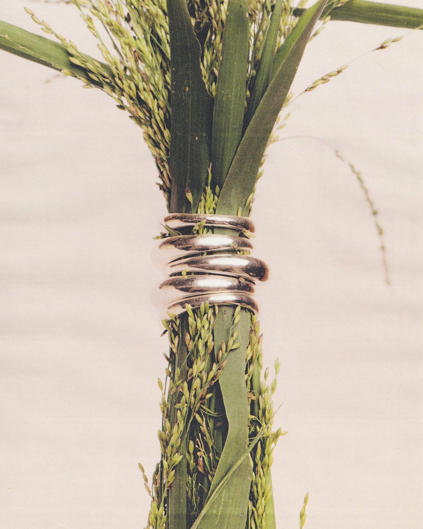 Anillo de Plata