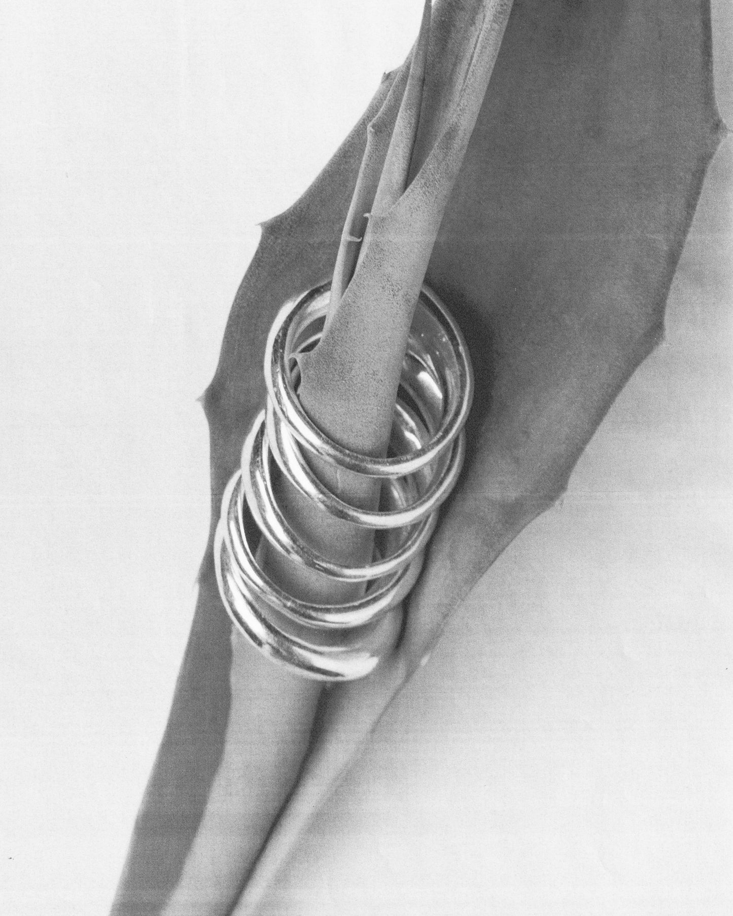 Anillo de Plata