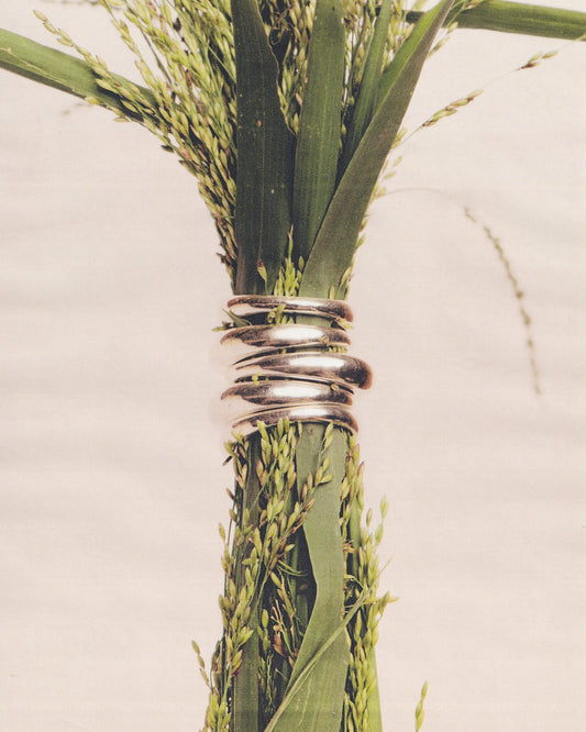 Anillo de Plata