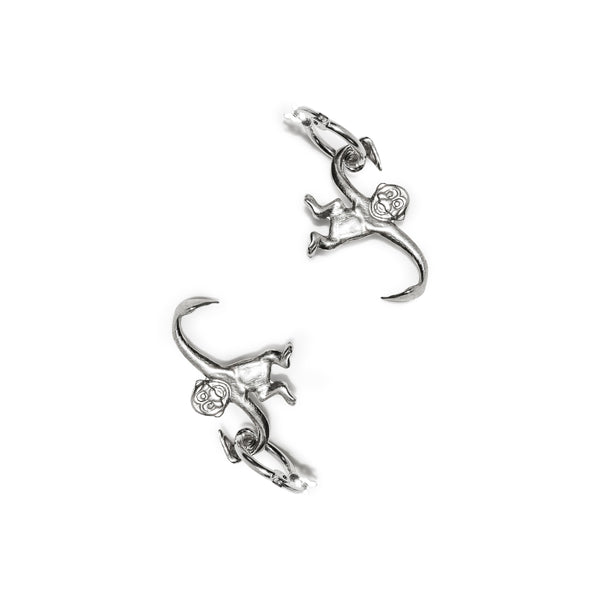 Aretes de Plata